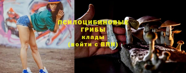 спайс Алексин
