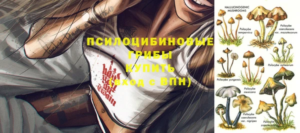 амф Алексеевка