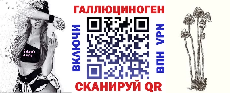 где купить наркоту  Казань  Псилоцибиновые грибы Psilocybe 